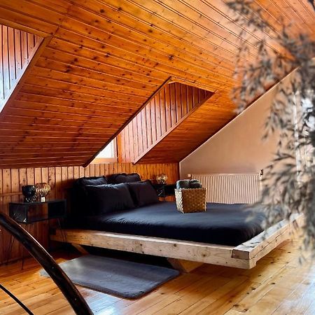 Nacada Studio By Hyco Lejlighed Sighişoara Eksteriør billede