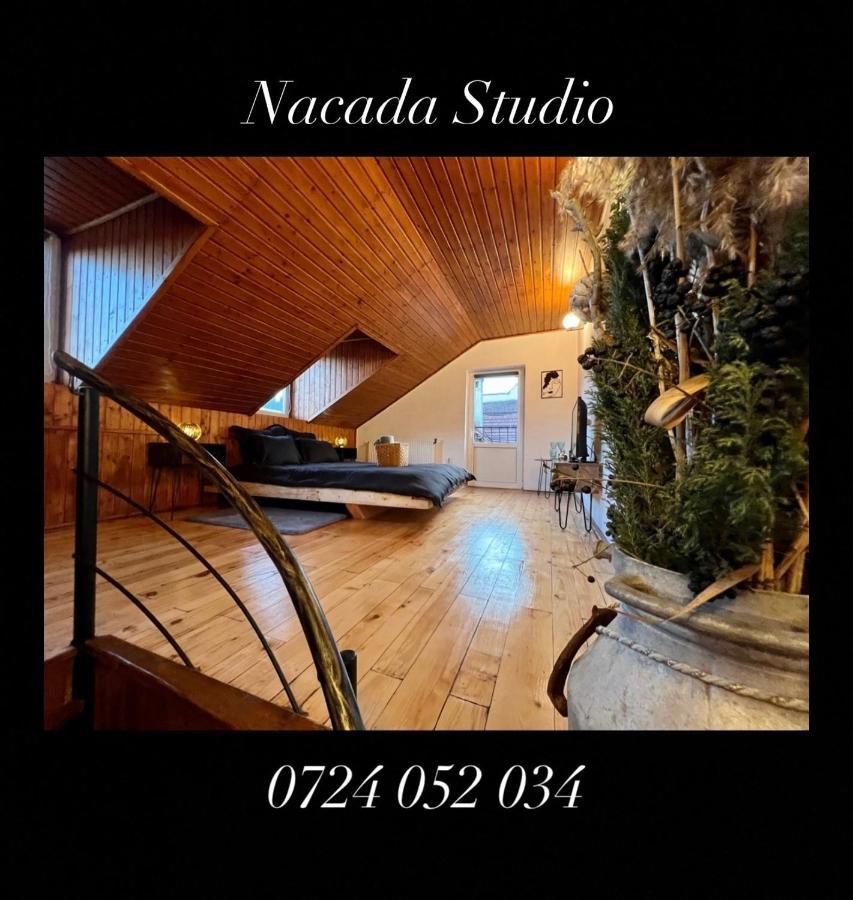 Nacada Studio By Hyco Lejlighed Sighişoara Eksteriør billede