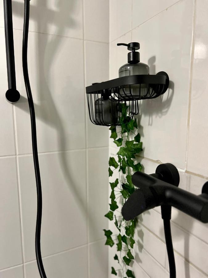 Nacada Studio By Hyco Lejlighed Sighişoara Eksteriør billede